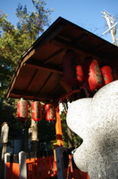 Shiramine Jingu Shrine 018